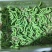 豆丹养殖豆虫饲养，门槛低，周期短，包技术，包回收。