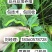 豆丹养殖豆虫饲养，门槛低，周期短，包技术，包回收。