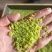 豆丹豆虫养殖，包技术，包回收，周期短，效益高