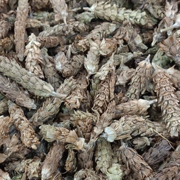 夏枯花枯草各种中药材名贵药材冷背药材批发