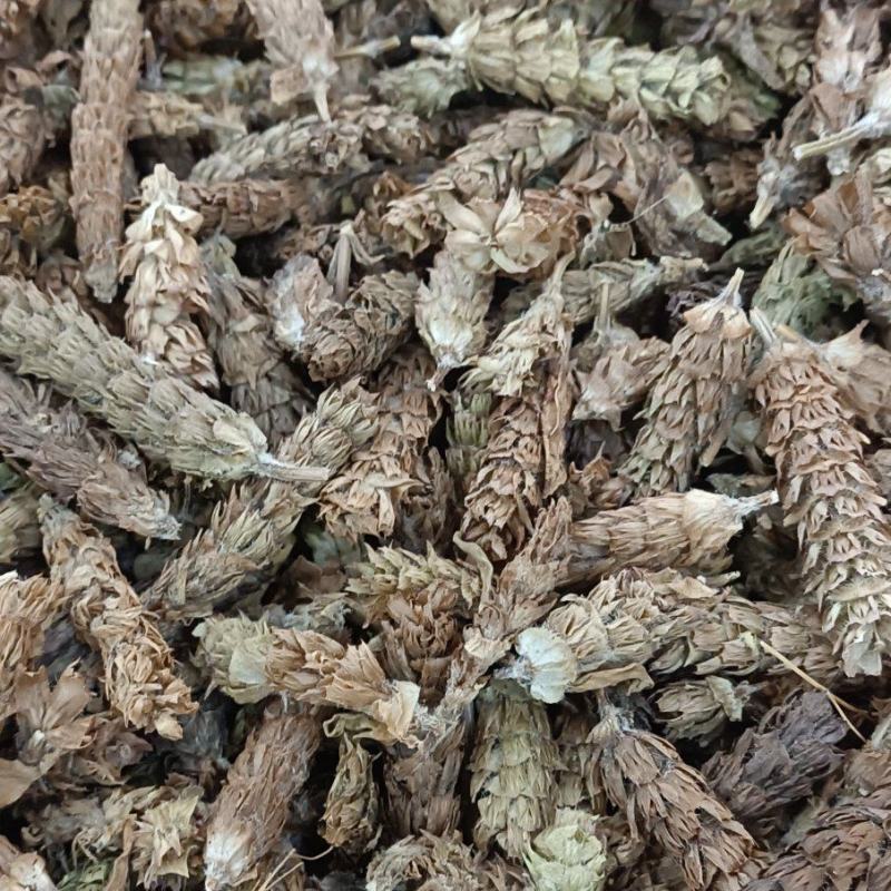 夏枯花枯草各种中药材名贵药材冷背药材批发
