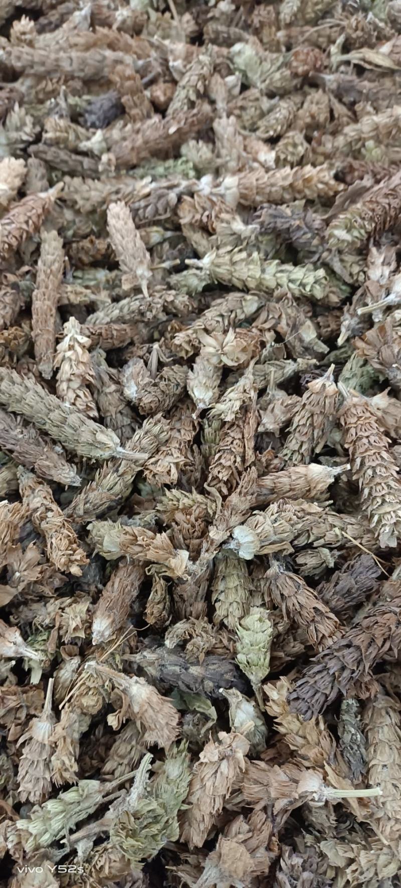 夏枯花枯草各种中药材名贵药材冷背药材批发