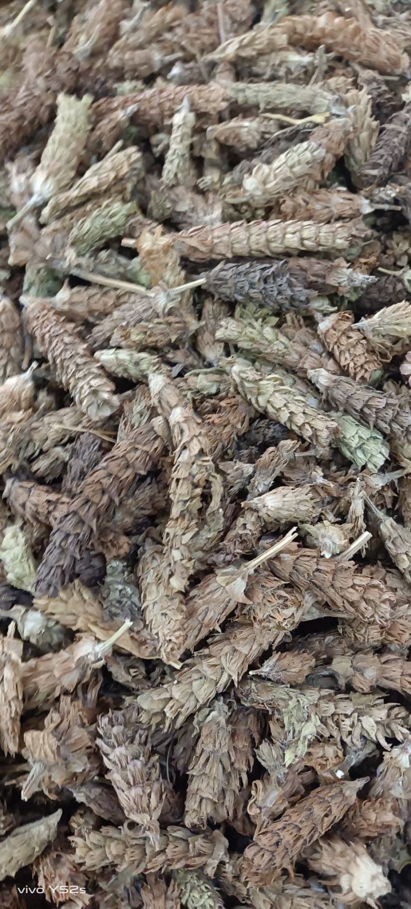 夏枯花枯草各种中药材名贵药材冷背药材批发