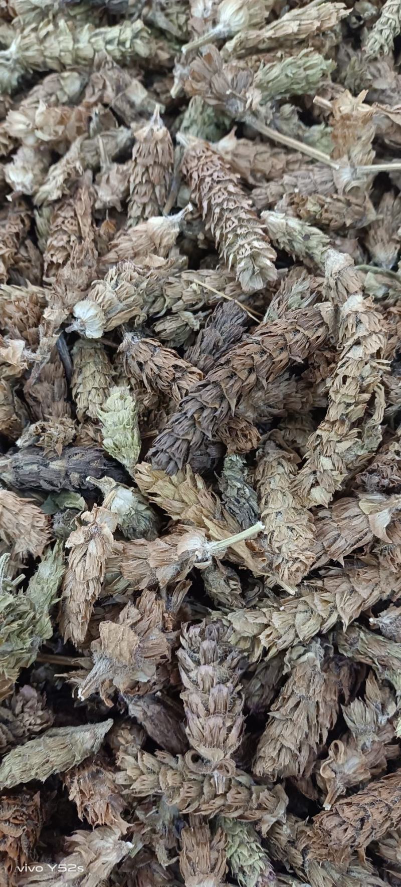 夏枯花枯草各种中药材名贵药材冷背药材批发