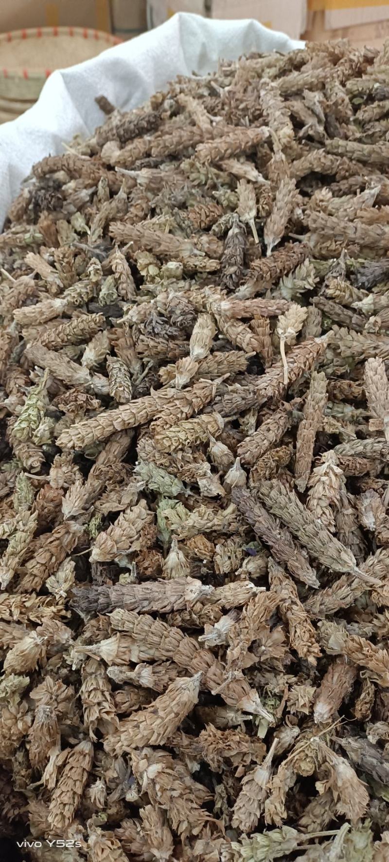夏枯花枯草各种中药材名贵药材冷背药材批发