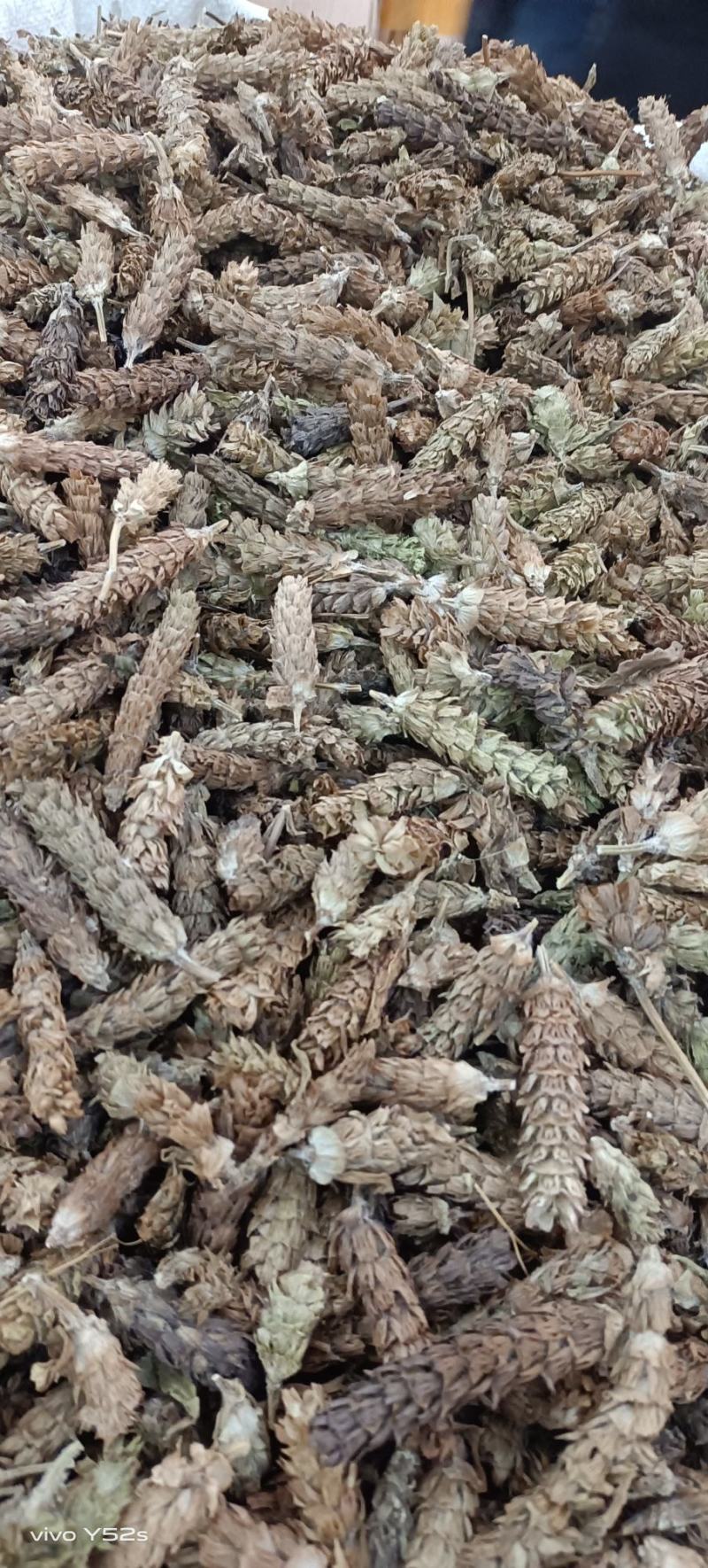 夏枯花枯草各种中药材名贵药材冷背药材批发