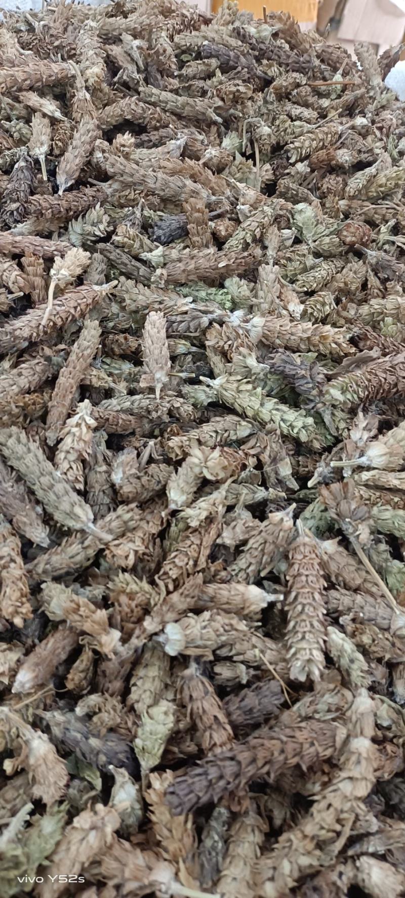 夏枯花枯草各种中药材名贵药材冷背药材批发
