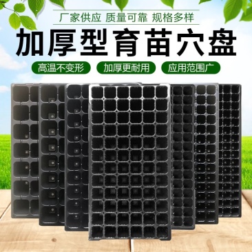 穴盘育苗盘林木加深育苗盘苗木多肉蔬菜塑料秧盘育苗盆托盘培