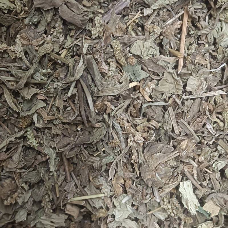 车前草实物拍摄天美价廉颜无虑镜放心下单