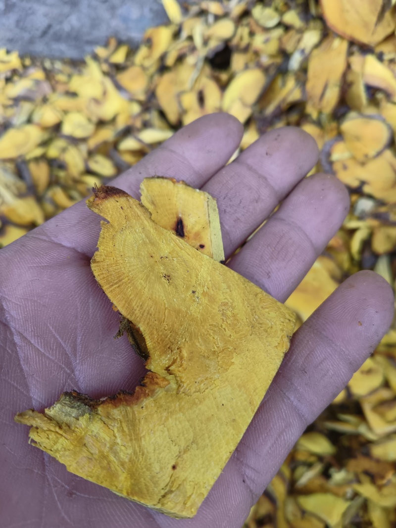 三棵针，全根干货切片，现货批发，欢迎订购