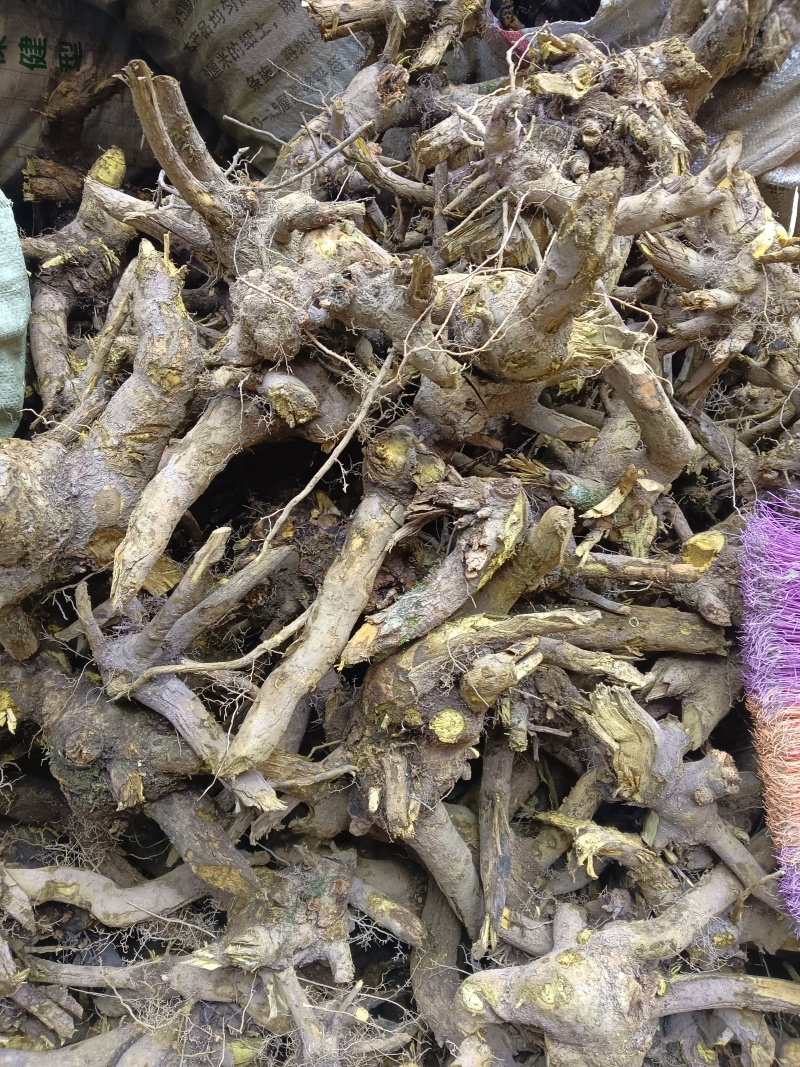 三棵针，全根干货切片，现货批发，欢迎订购