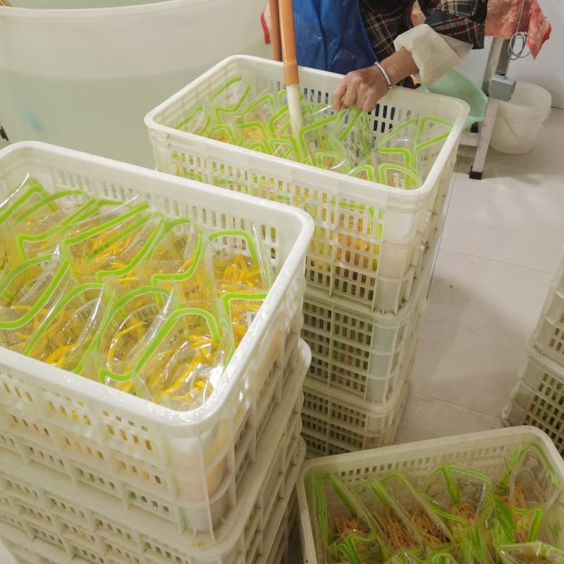 黄花菜水菜