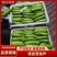 【精品货】绿皮西葫芦瓜条直，个头均匀，货源充足价低