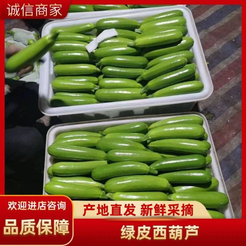【精品货】绿皮西葫芦瓜条直，个头均匀，货源充足价低