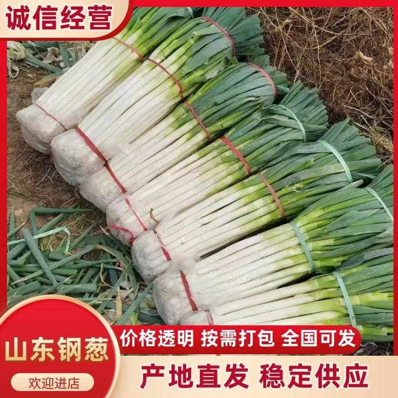 【精品】山东大葱/钢葱/一手货源/量大从优/品质保证