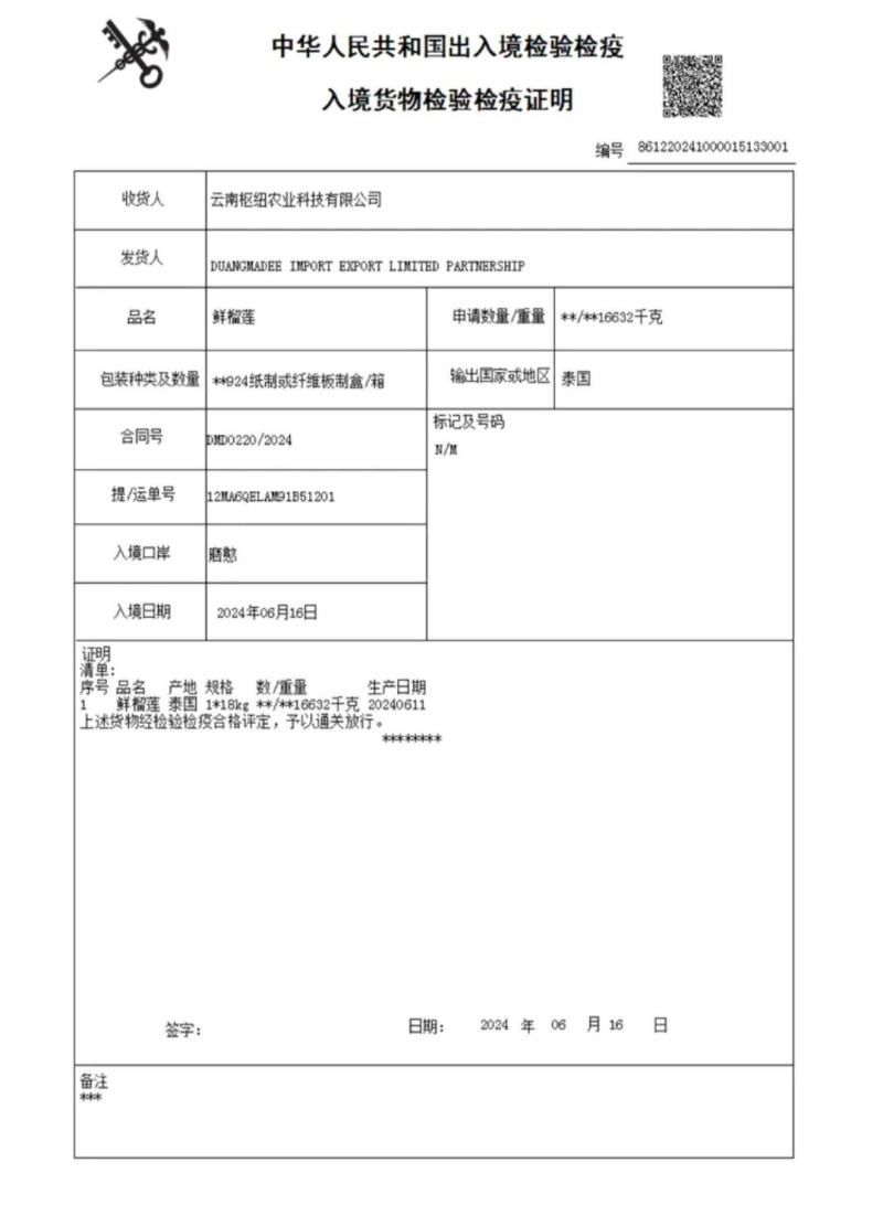 金枕榴莲一手批发价格，A果保5房，坏果包赔，货到付款
