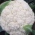 花菜