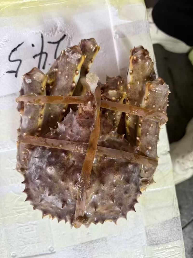 【正宗】冷冻帝王蟹基地直发保质保量对接全国商超社区团购