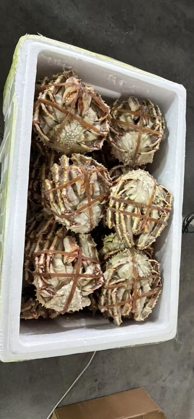 【正宗】冷冻帝王蟹基地直发保质保量对接全国商超社区团购