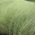 精品晨光芒优质晨光芒