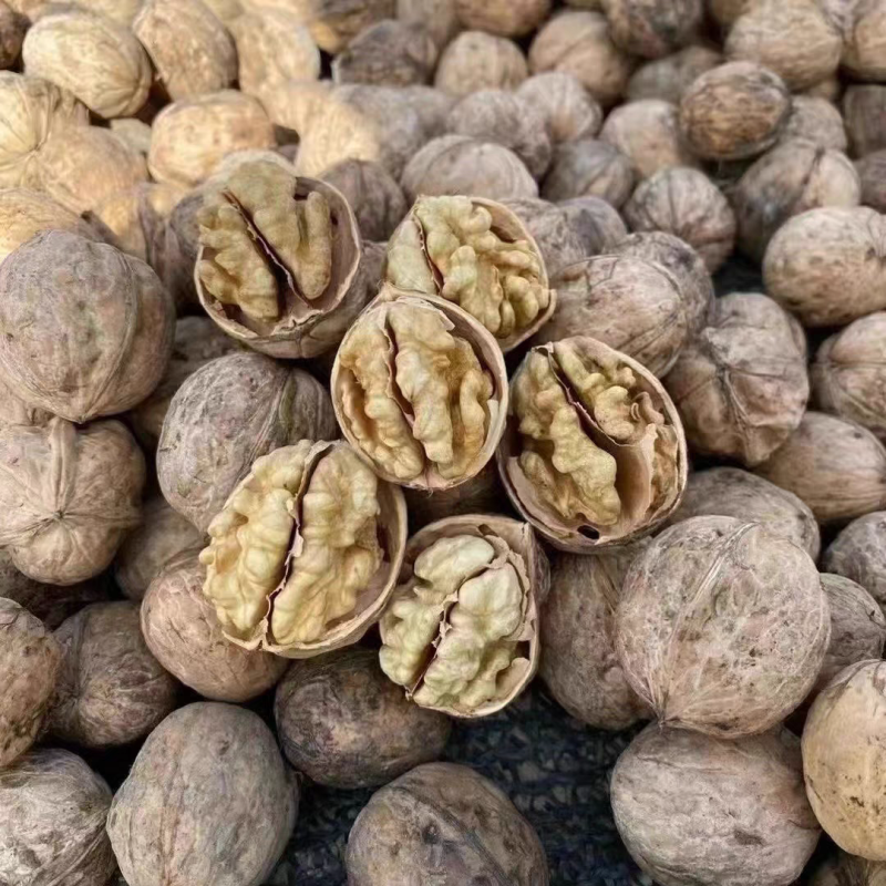新疆阿克苏温苏185核桃原色纸皮核桃