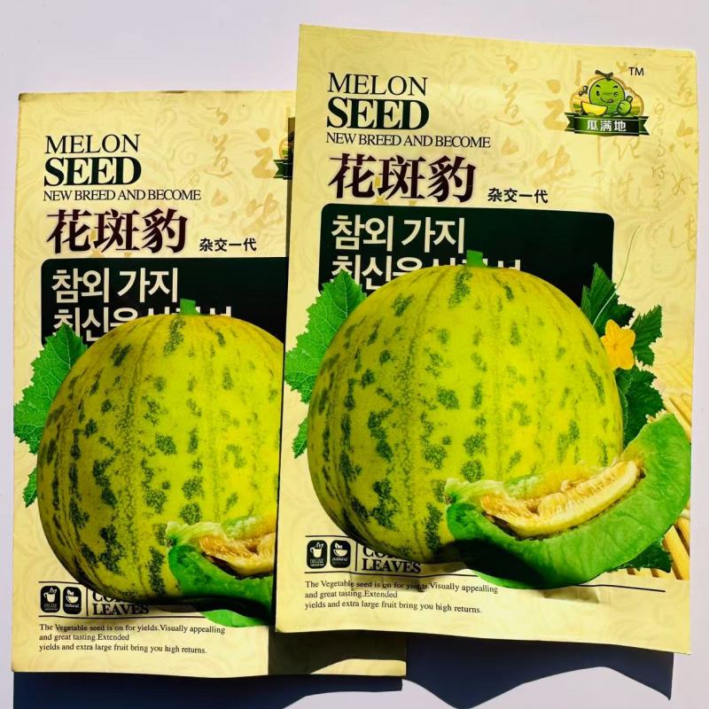 花斑豹甜瓜种子杂交花皮豹点甜瓜种子绿肉甜脆豹纹香瓜种子