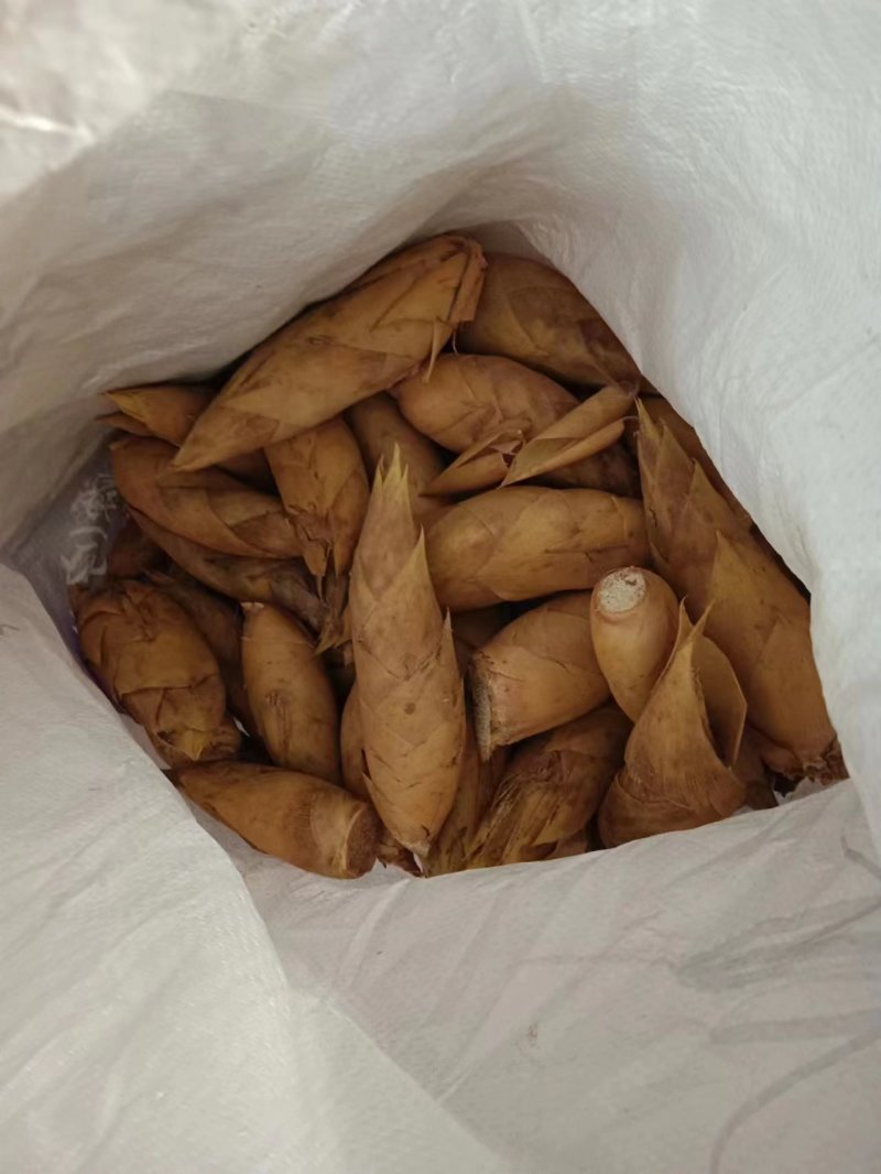 冬笋产地批发，江西冬笋直销，冬笋农户直发