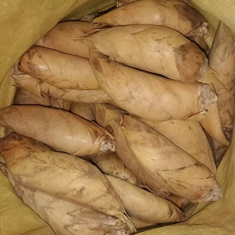 冬笋产地批发，江西冬笋直销，冬笋农户直发
