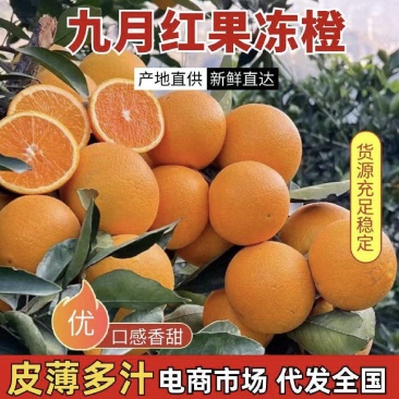 蜂蜜橙橙子汁水饱满无干水皮薄多汁细腻无渣