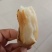 哈密红薯
