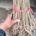 实生苗桑树苗，养蚕，牛羊词料桑