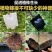 植物高压嫁接繁殖盒扦插果树枝条育苗器花木嫁接移栽神器家用
