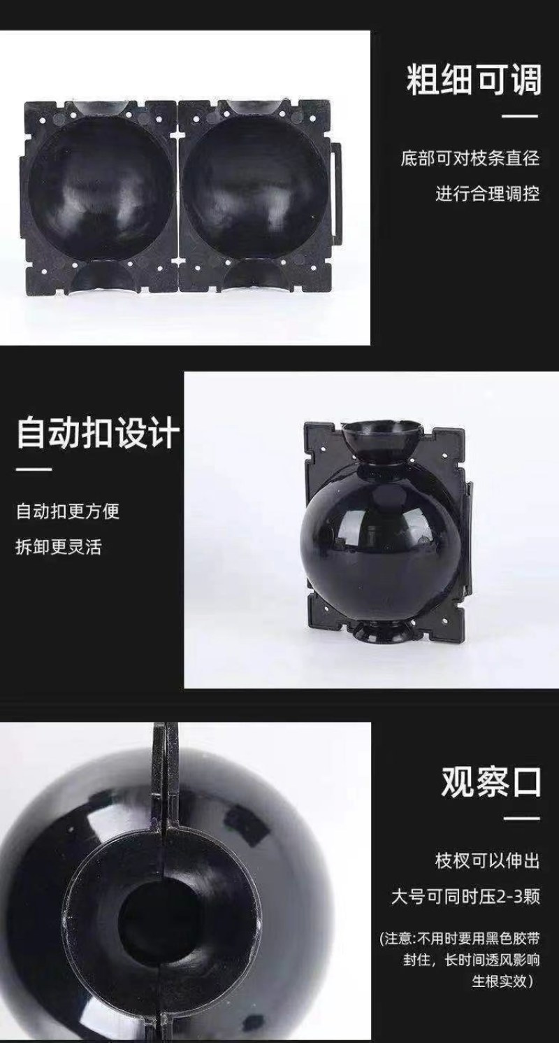 植物高压嫁接繁殖盒扦插果树枝条育苗器花木嫁接移栽神器家用