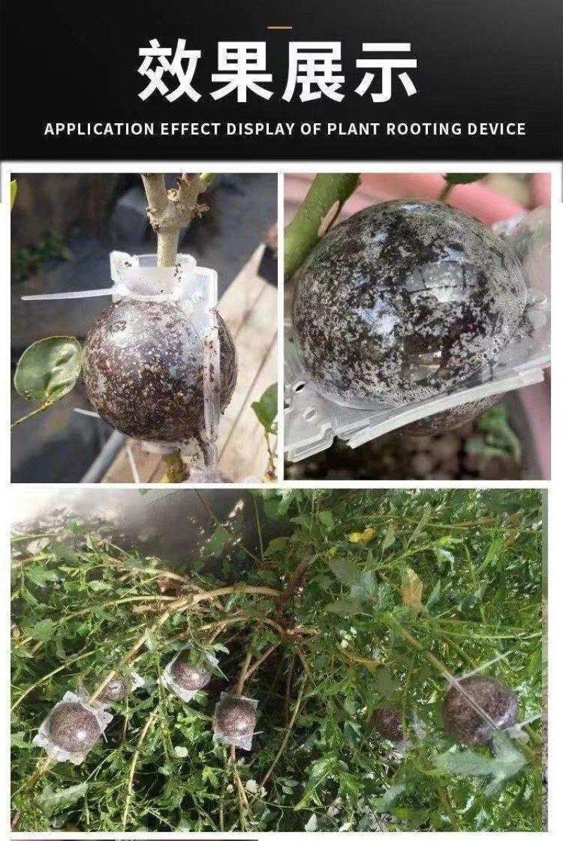 植物高压嫁接繁殖盒扦插果树枝条育苗器花木嫁接移栽神器家用