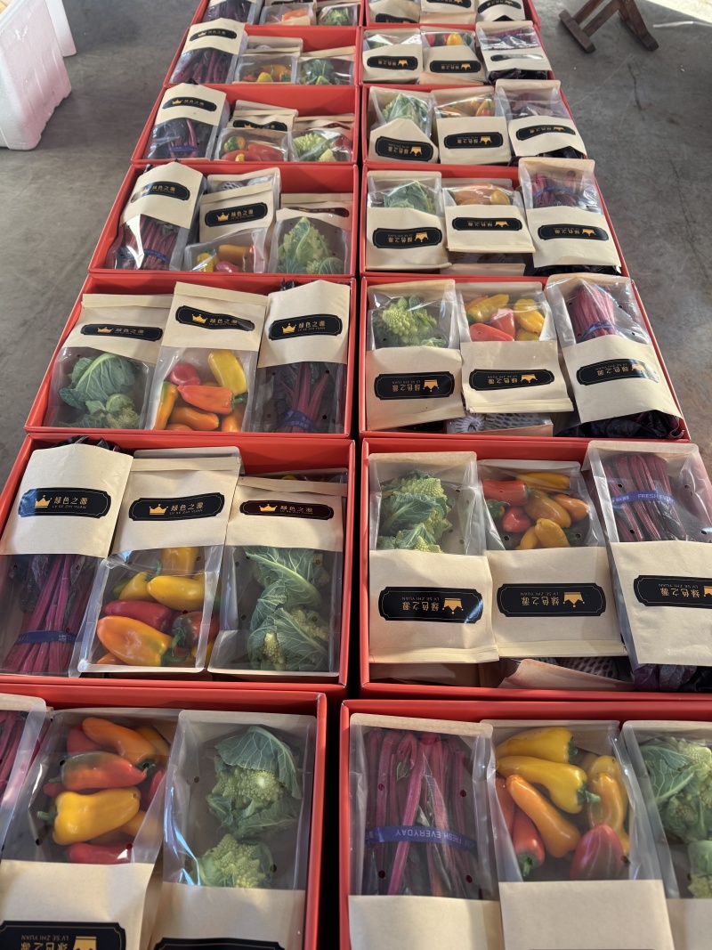 蔬菜礼盒套菜单位福利礼品专用五十箱以上支持快递发货