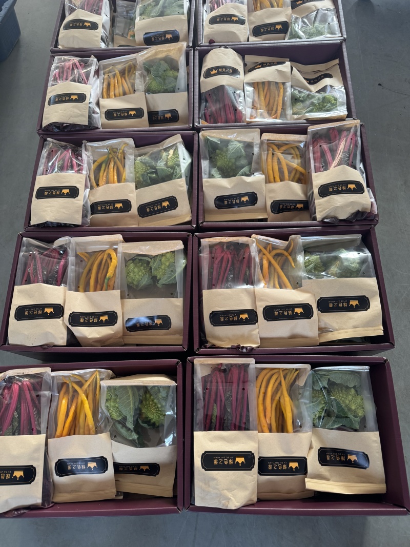 蔬菜礼盒套菜单位福利礼品专用五十箱以上支持快递发货