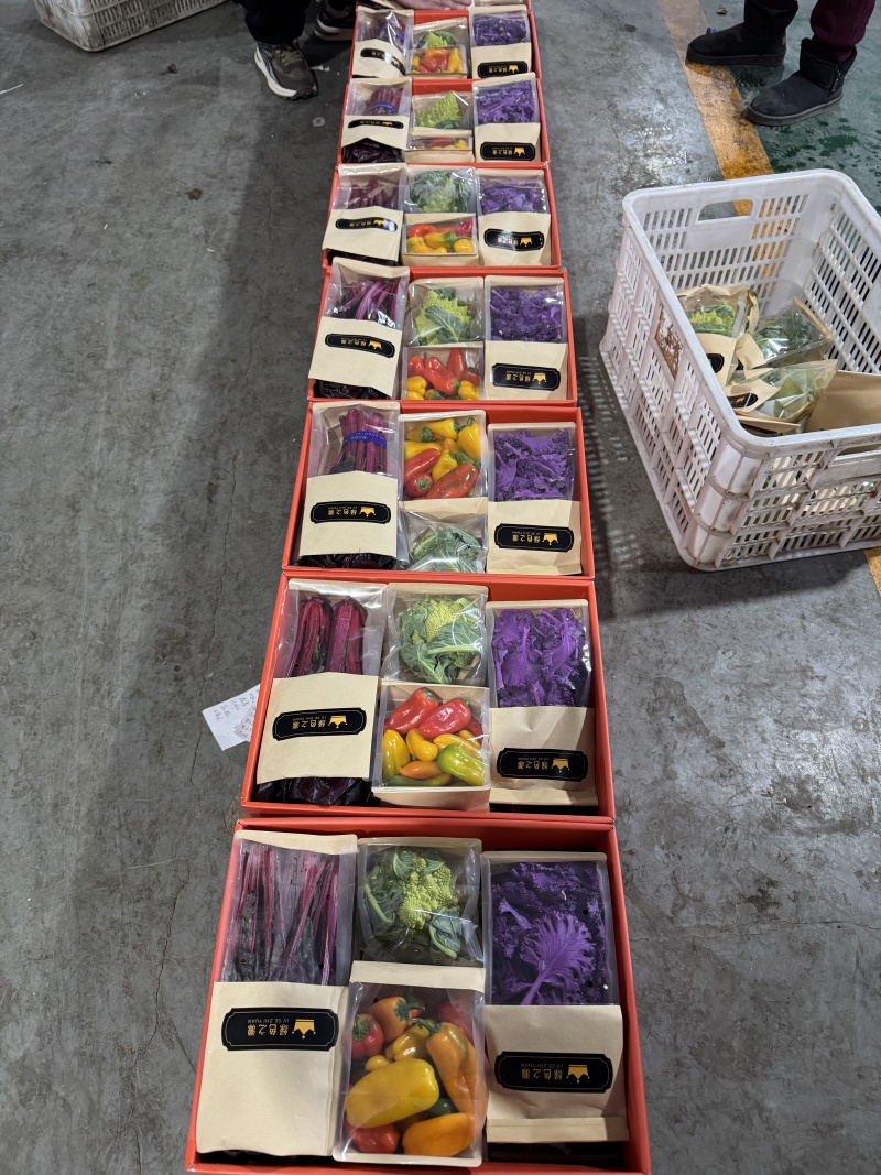 蔬菜礼盒套菜单位福利礼品专用五十箱以上支持快递发货