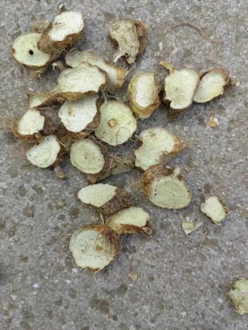 【手选知母圆片】高品质含量足产地直供量大从优质优