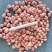 【安徽精品】鲁花八号小白沙，现货量大从优，已脱壳打包