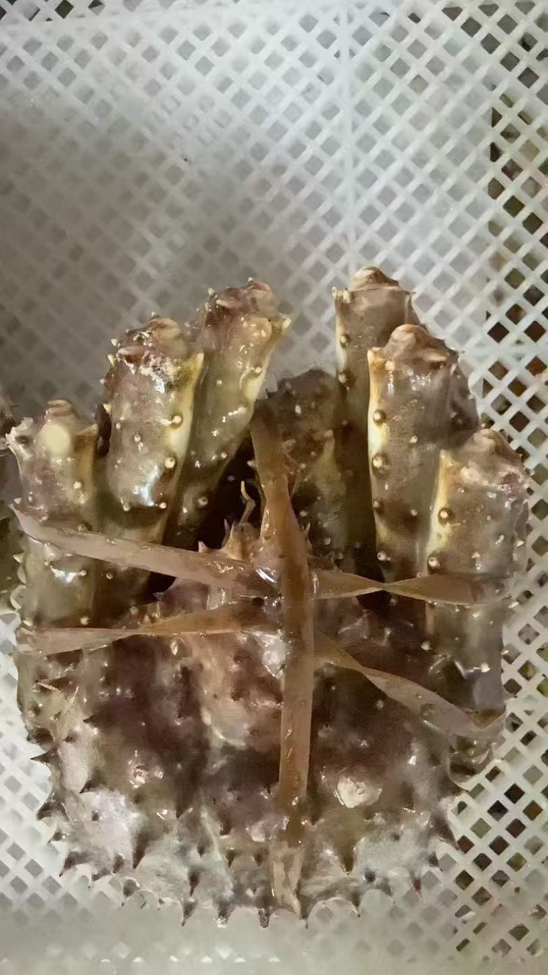 【精选】山东帝王蟹量大从优保质保量一条龙服务售后无忧