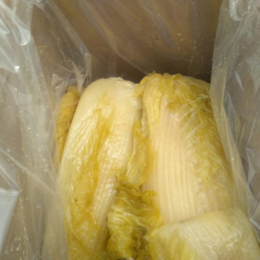 【泡菜】唐山玉田酸菜农户自己腌制大量出售