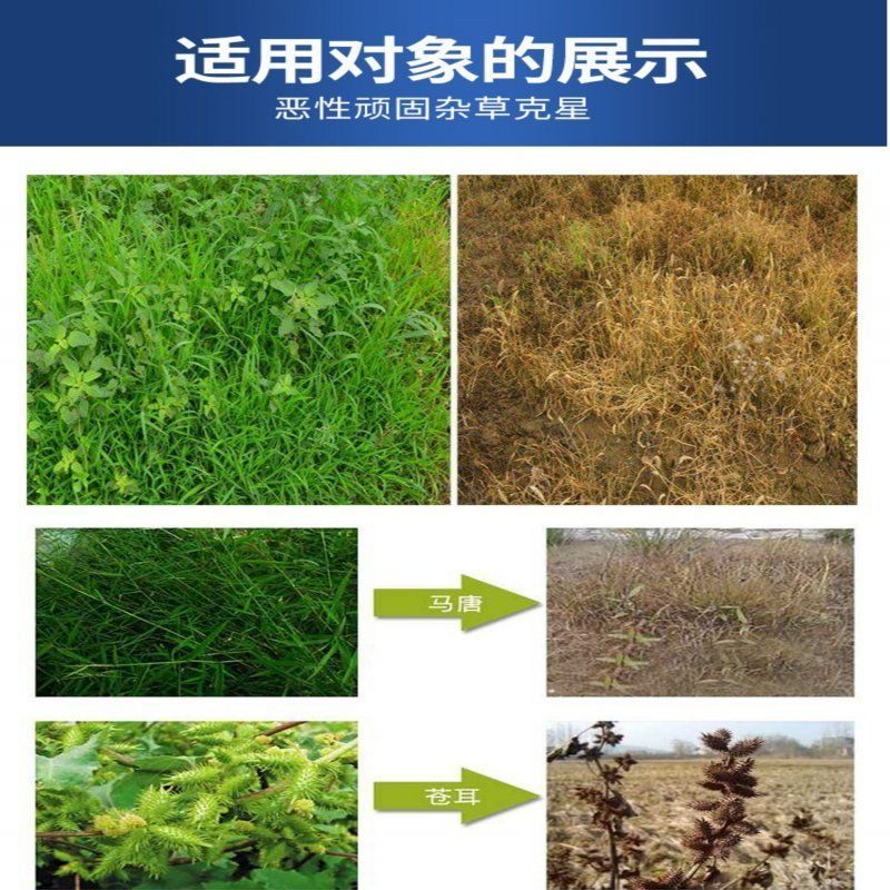 88%草甘膦铵盐灭生性除草剂灭草烂根灭杂草正