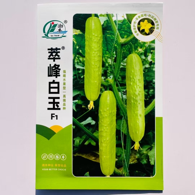 萃峰白玉黄瓜种子清香脆嫩水果黄瓜种子强雌高产春秋基地专用
