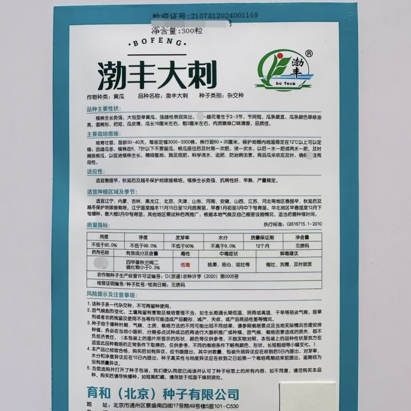 渤丰大刺黄瓜种子翠绿油亮大包旱黄瓜种籽强雌型水果黄瓜种子