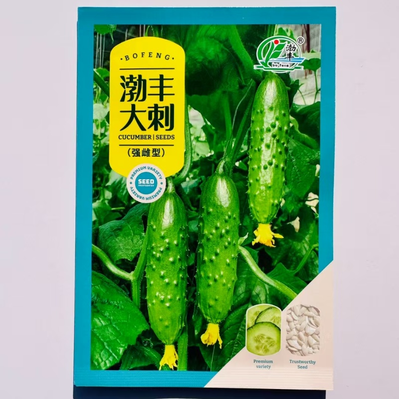 渤丰大刺黄瓜种子翠绿油亮大包旱黄瓜种籽强雌型水果黄瓜种子