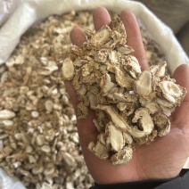 专业沙姜30年