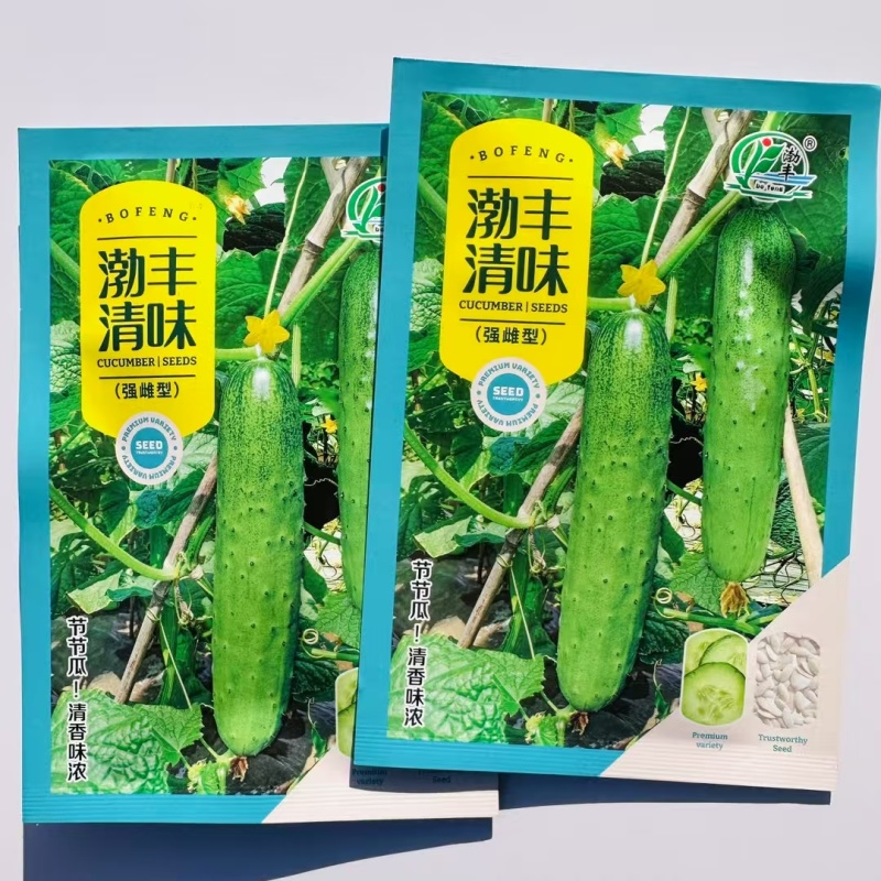 渤丰清味水果黄瓜种子强雌型黄瓜种子节节有瓜耐热春秋季清香
