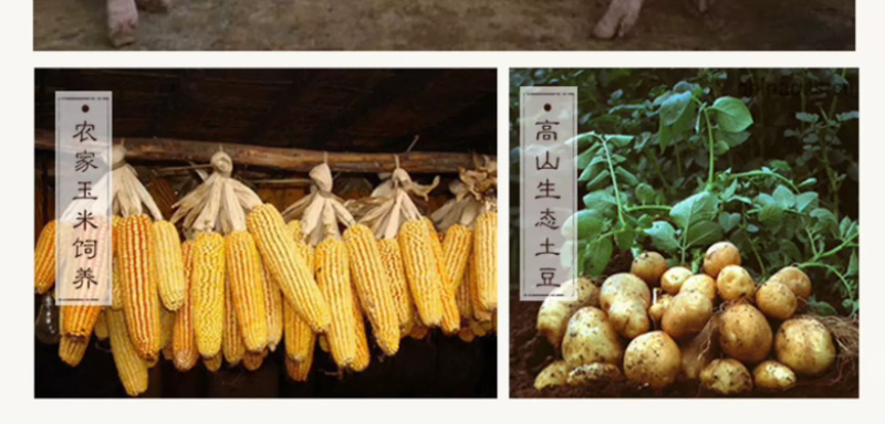 恩施高山五花肉