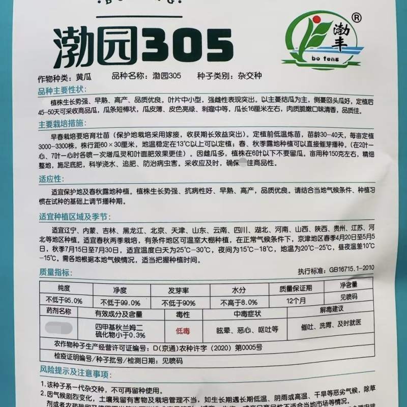 渤园305水果黄瓜种子早熟春秋绿肉短棒节节有瓜清香脆甜
