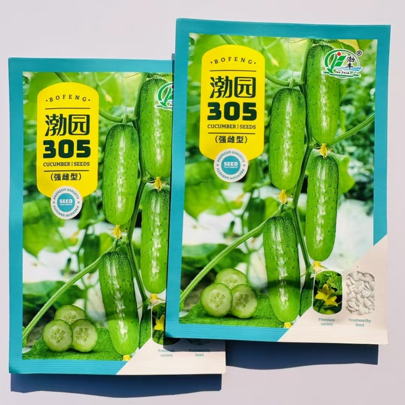 渤园305水果黄瓜种子早熟春秋绿肉短棒节节有瓜清香脆甜